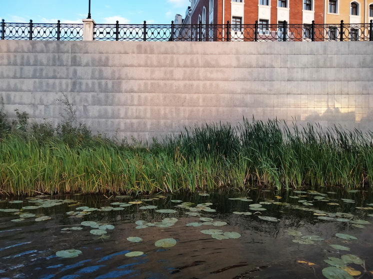 «Готовьтесь к тихому ужасу с 7 августа». Синоптики сказали, что начнется