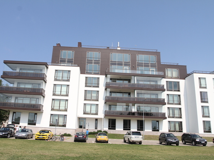 Юрист Салкин: жителей могут штрафовать за грязные стекла и немытую дверь