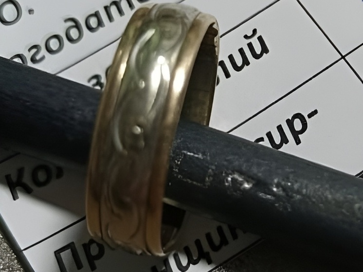 В Чувашии вступил в силу приговор за кражу кольца в поезде