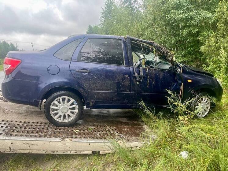 Два человека пострадали при опрокидывании Lada Granta в Клепиковском районе