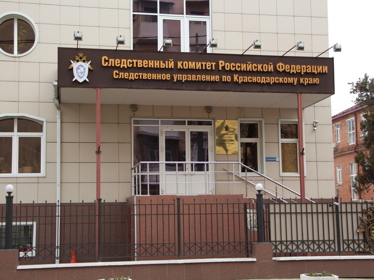 Глава СКР запросил доклад о травмировании мальчика в обесточенном ТЦ в Геленджике
