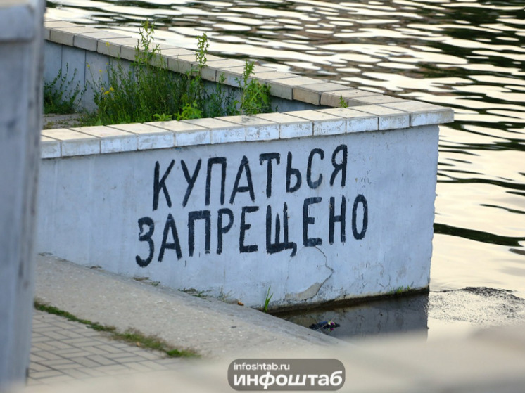 В Астрахани массово гибнут моллюски в Кутуме