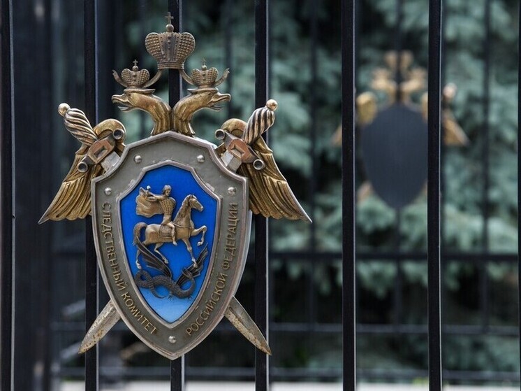 Следственный комитет раскрыл более 50 преступлений, совершенных на территории Донбасса до 2022 года