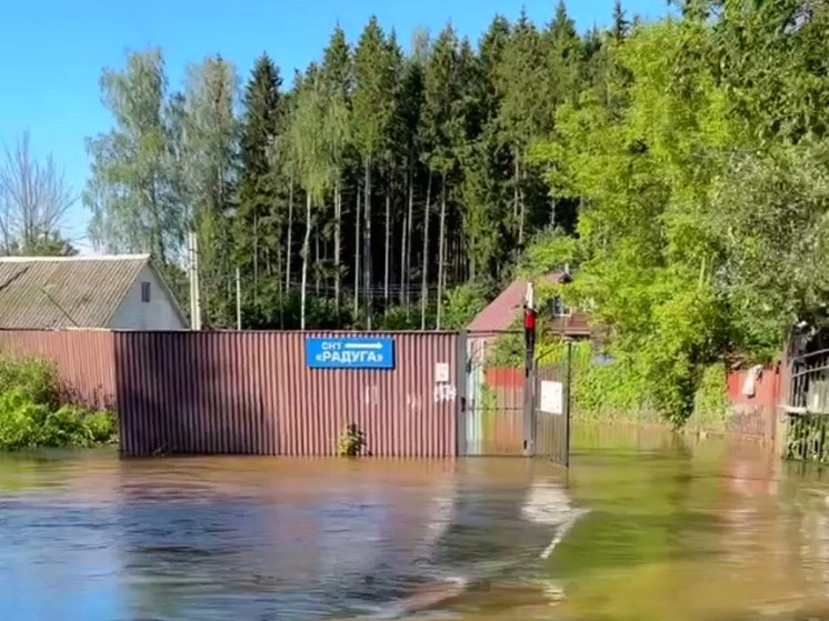 Семью с ребёнком вывезли из подтопленных домов в Истринском районе