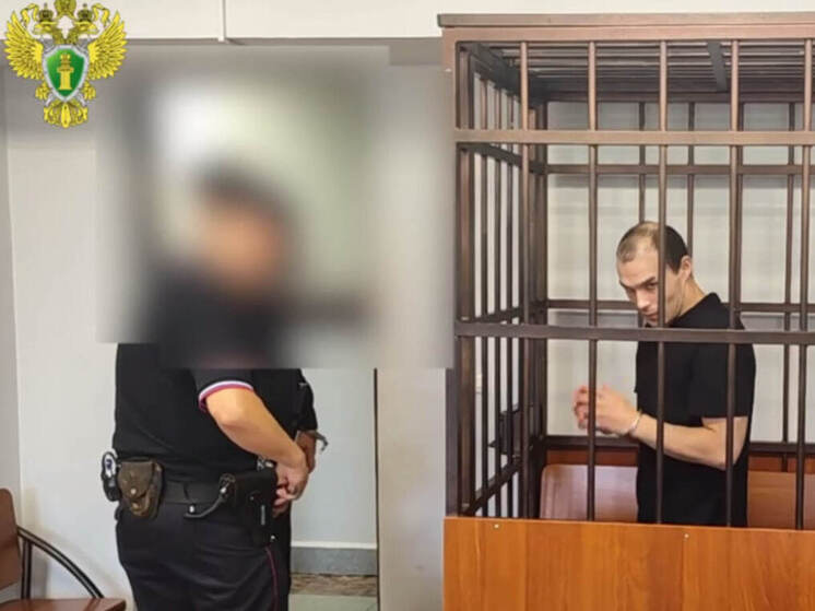 Йошкаролинец получил срок за разбойное нападение на женщину