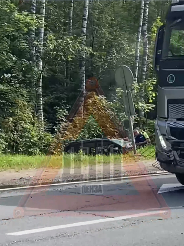 В Городищенском районе столкнулись две фуры и легковой автомобиль