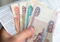 В России в ряде регионов второй месяц длится эксперимент по упрощенному порядку взыскания коммунальных долгов