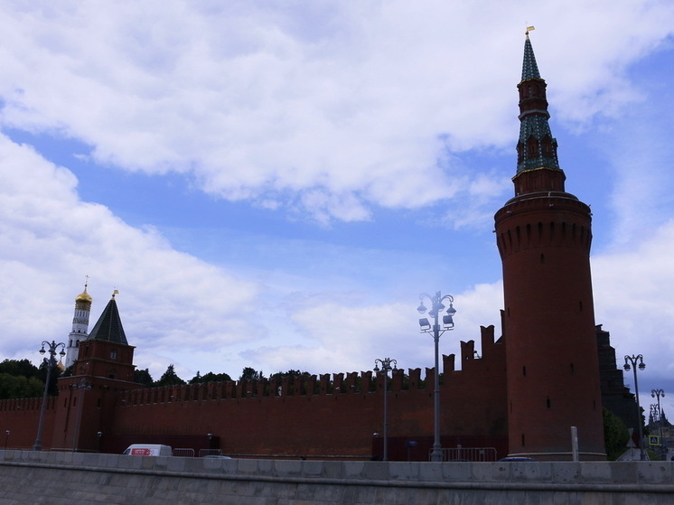 В Госдуме заявили, что встречу Путина и Уиткоффа усложнил ультиматум Трампа