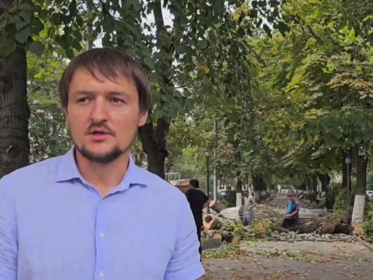 Во Владикавказе начали благоустраивать аллею по ул. Тамаева