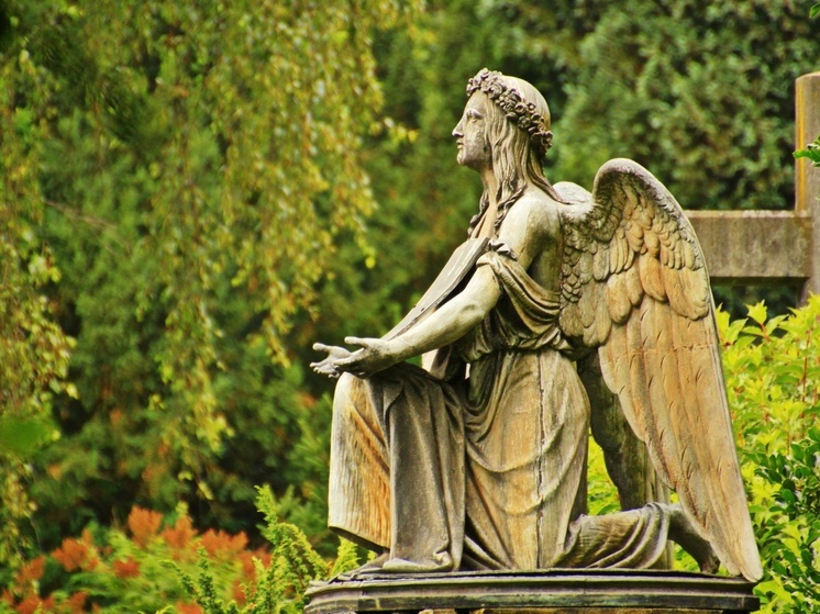 Живую пенсионерку из Москвы в Обнинске похоронили