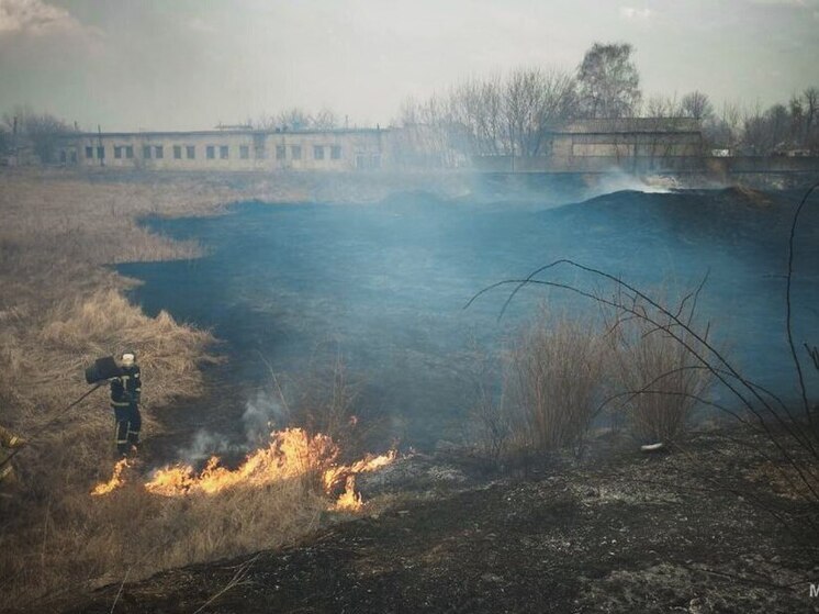Более тысячи гектаров пшеницы уничтожено огнем в ДНР
