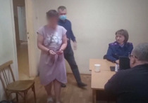 В поселке Березовка Алтайского края погиб грудной ребенок. В смерти младенца полиция подозревает его 43-летнюю мать. Сначала она заявила о пропаже девочки, затем сотрудники нашли тело малышки с пробитой головой всего в нескольких шагах от дома. Заявительница была в сильном алкогольном опьянении. В таком состоянии она, по словам соседей, пребывает нередко. 