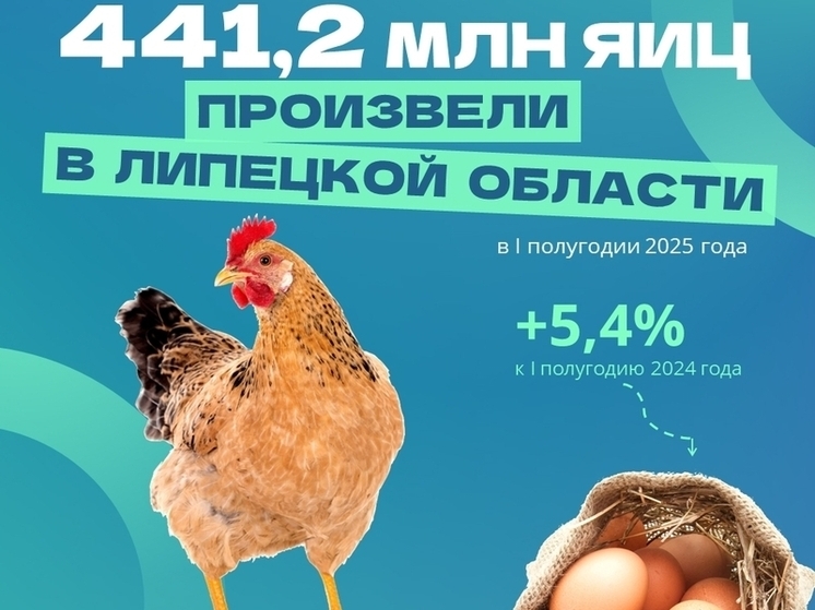 На 5,4% увеличилось производство куриных яиц в Липецкой области