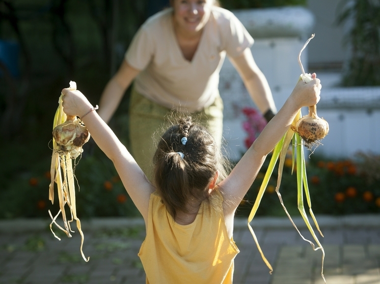Садовод Татьяна Яньшина рассказала, когда надо убирать лук с грядки