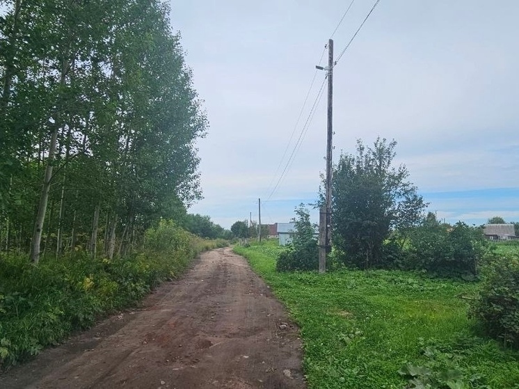 В деревне Личка появилось современное уличное освещение