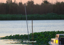 Гидроузел Волжской ГЭС продолжает работать в режиме устойчивой летней межени.