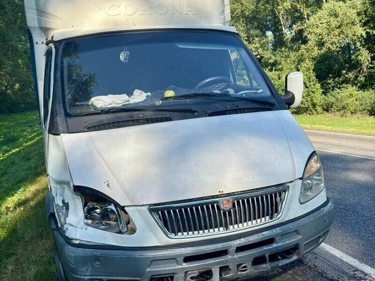 Под Воронежем водитель грузовика насмерть сбил велосипедиста
