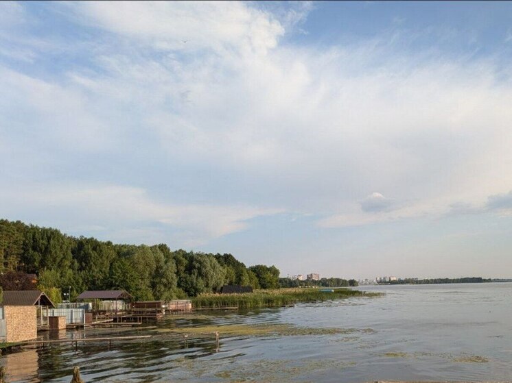 Берег Воронежского водохранилища раздался вширь