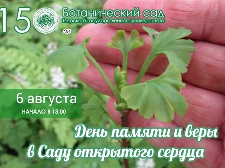 В Твери растут деревья-потомки мемориальных деревьев Хиросимы