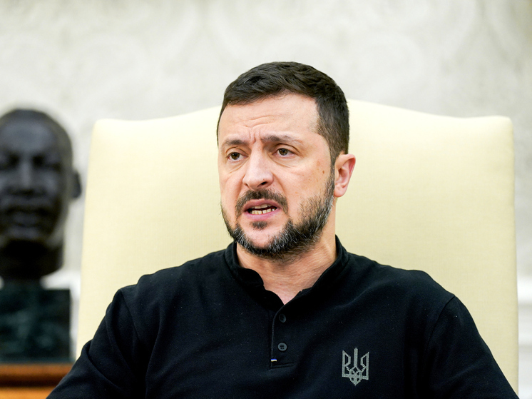 Аналитик Меркурис: заявления Зеленского часто противоречат действительности