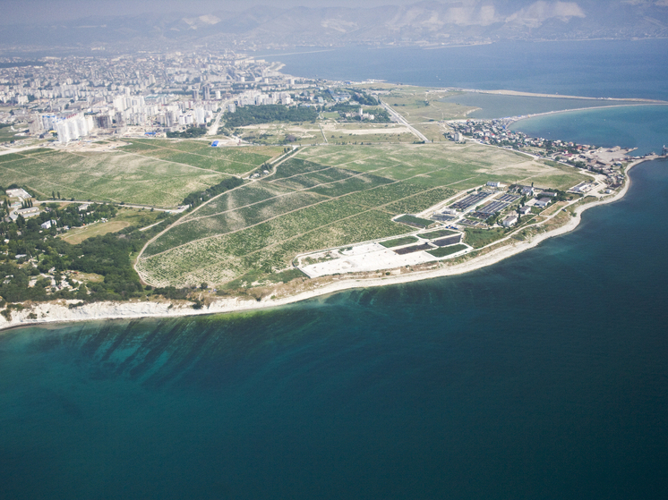 Мэр Новороссийска призвал жителей покинуть набережную и пляжи в связи с ситуацией