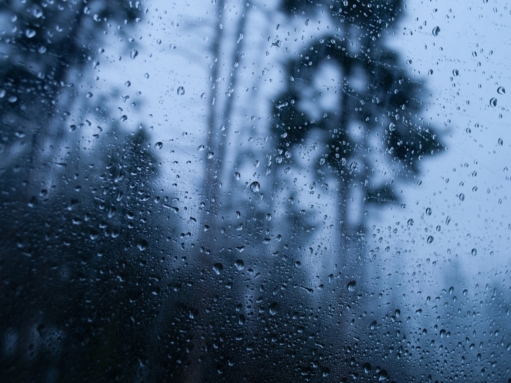 Сегодня, 7 августа томичей ждёт дождливая погода