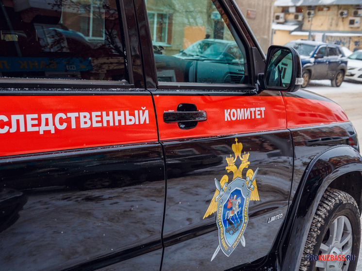 Бастрыкин инициировал проверку по жалобам многодетных семей в Кузбассе