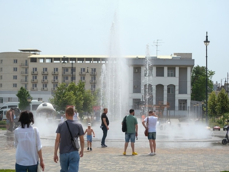 Синоптики обещают волгоградцам 7 августа усиление ветра и жару