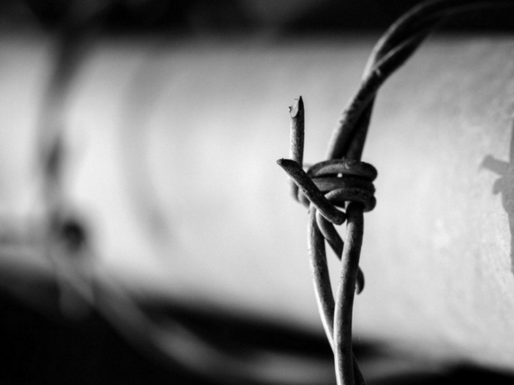 Житель Марий Эл в СИЗО привлекал людей в экстремистскую организацию