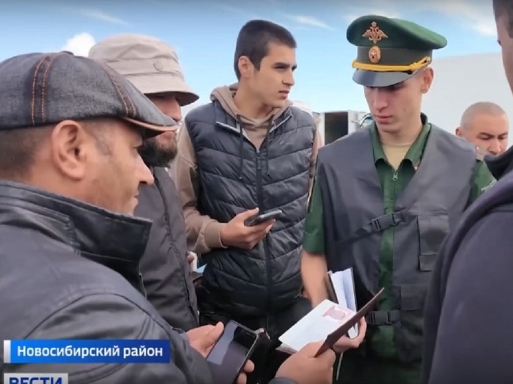 Рейд на мигрантов-нелегалов устроили на оптовом рынке под Новосибирском