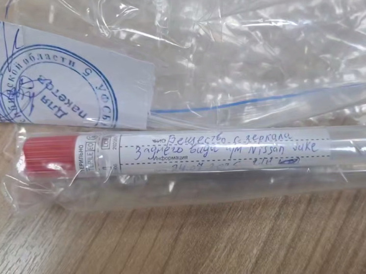 Двое подростков по заказу украинских спецслужб планировали покушение на российского военнослужащего при помощи яда