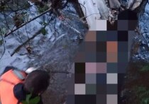 Вечером 6 августа в поисково-спасательный отряд города Шлиссельбург поступило сообщение об обнаружении тела человека в реке Охта, в районе деревни Новое Девяткино. Об этом написали в телеграм-канале аварийно-спасательной службы Ленобласти.