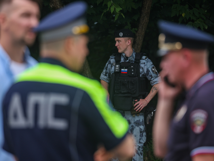 В Подмосковье резко выросла смертность в ДТП и киберпреступность — данные прокуратуры