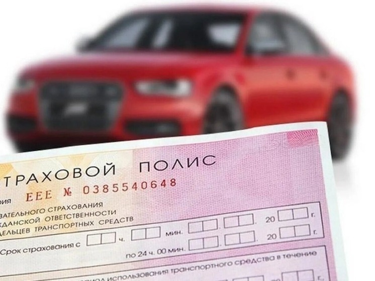 Почему калмыцкие водители массово покупают полис автострахования
