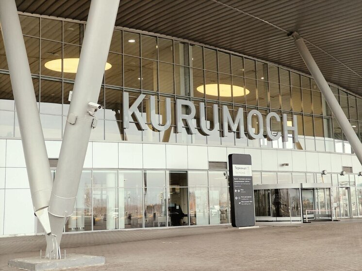 В самарском аэропорту «Курумоч» задержали 15 партий опасных продуктов