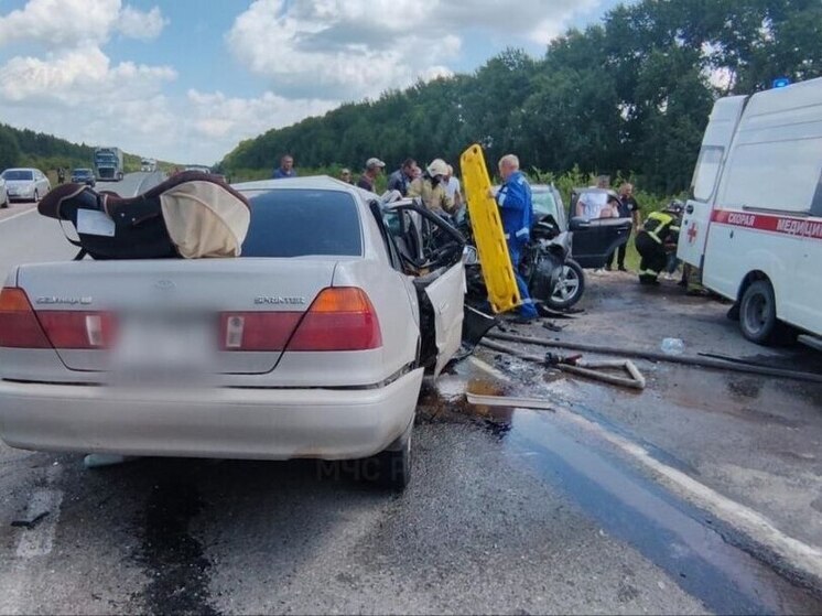 27 человек погибли при ДТП в июне в Новосибирской области