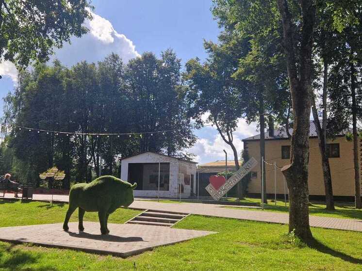 «Ростелеком» взял под наблюдение центр поселка Пржевальское в Смоленской области