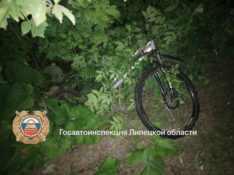 В Усманском районе подросток погиб под колёсами автомобиля