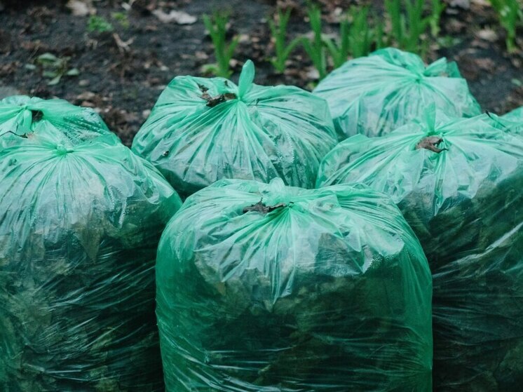 В Пензенской области стартует экологическая «Генеральная уборка»