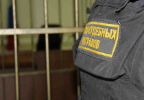 Нерадивая мать проведет пять суток под арестом за уклонение от обязательных работ в Марий Эл.