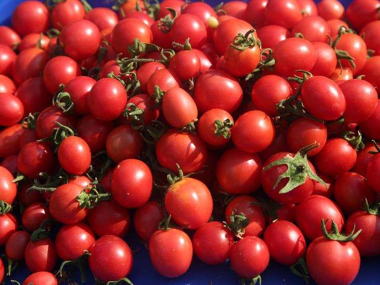 Эксперт Старова: томатная мякоть в рационе девушки приносят огромную пользу фигуре