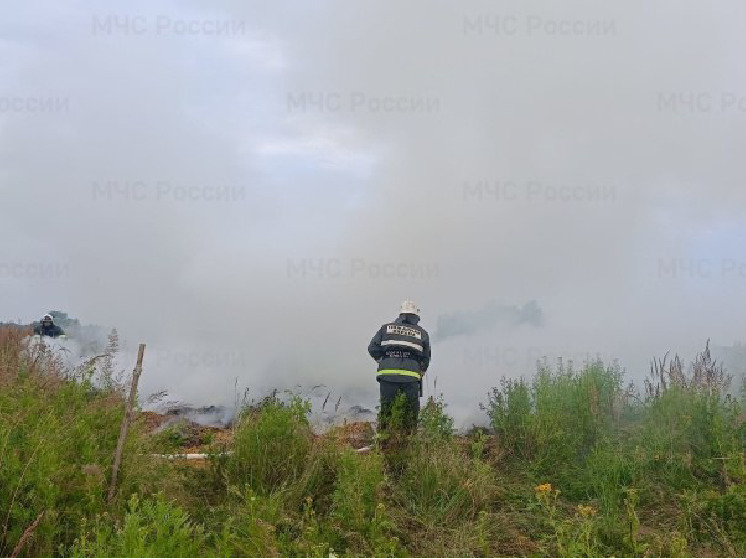 За сутки в Брянской области потушили 6 пожаров