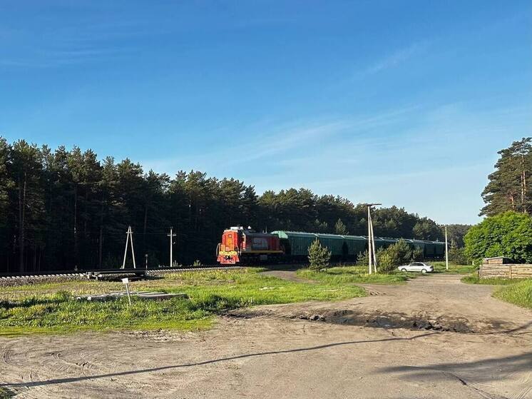 В Алтайском крае поезд насмерть сбил 60-летнюю женщину