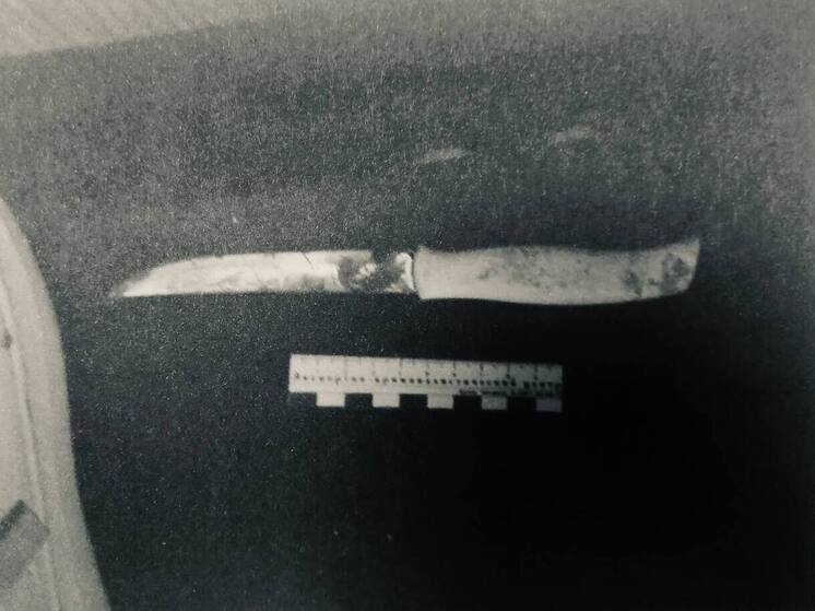 В Амурске женщина ослепила знакомого ножом и отправилась в колонию