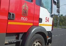 С 6 по 7 августа силы и средства Ленинградской областной противопожарно-спасательной службы приняли участие в тушении 9 пожаров и 5 выездах на помощь. Об этом сообщили в пресс-службе ГКУ «Леноблпожспас».
