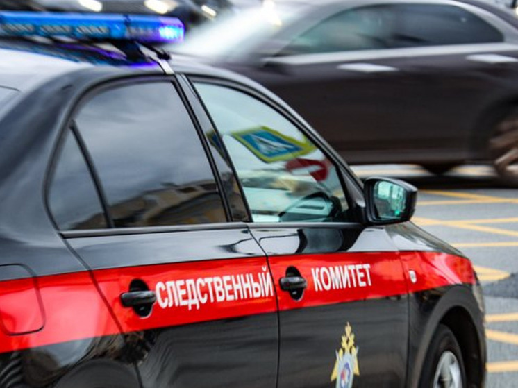 В Дмитрове 76-летний пенсионер расправился с сожительницей