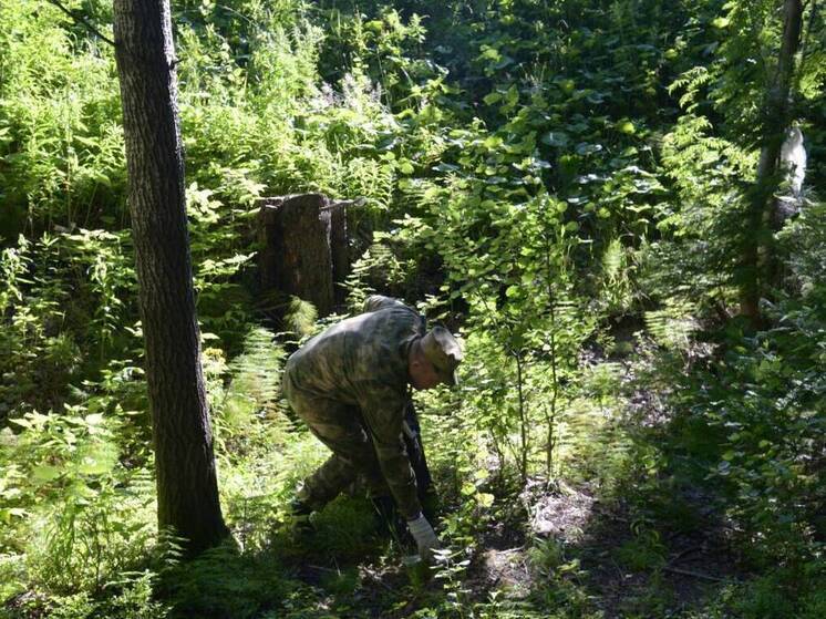 Росгвардейцы провели экологическую акцию в природном парке «Самаровский чугас»