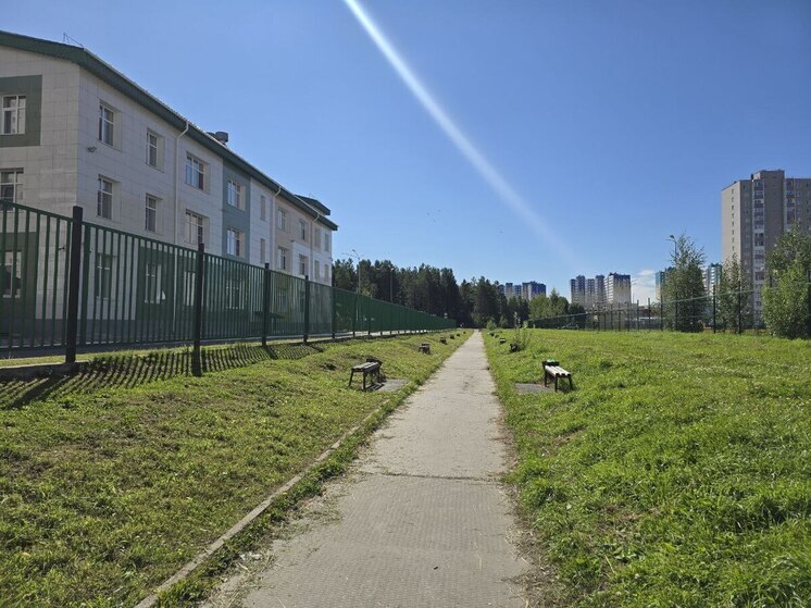 В Сургуте появится новое общественное пространство благодаря инициативе жителей