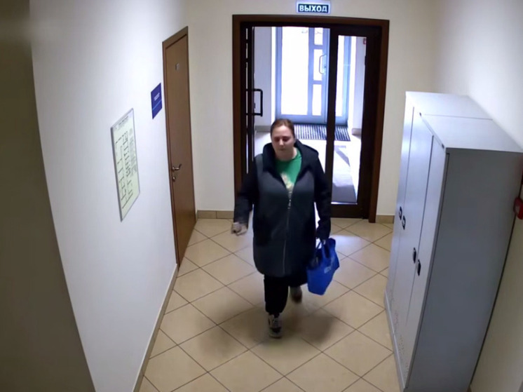 Работницу московского предприятия задержали за хищение микросхем