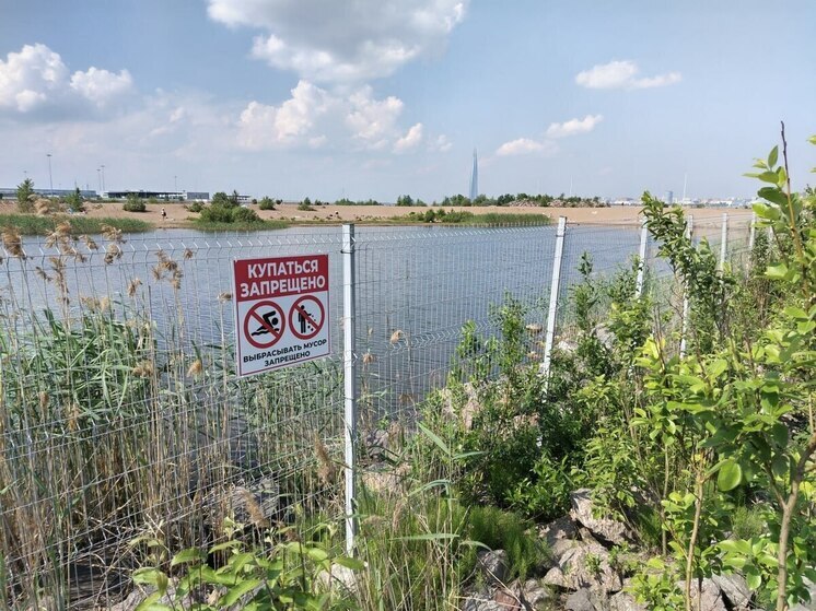 В Калининграде поймали группу подростков за купанием у знака «Купаться запрещено»